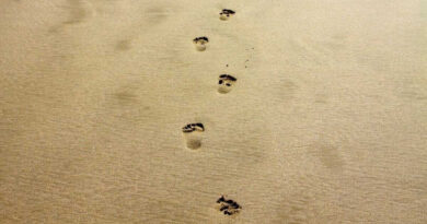 Talk the talkの意味