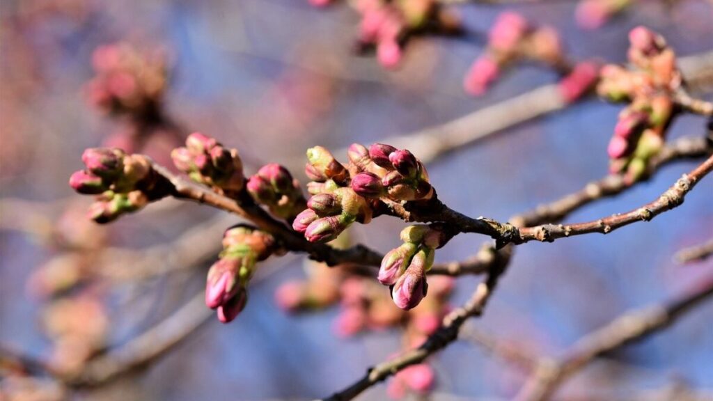 「もうすぐ」の英語
